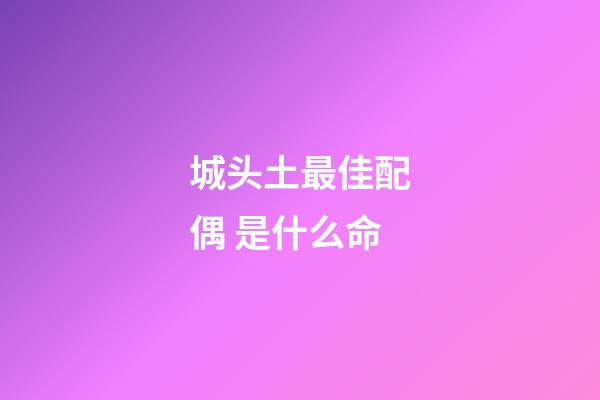 城头土最佳配偶 是什么命